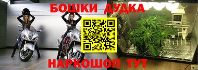 Альфа ПВП Керчь
