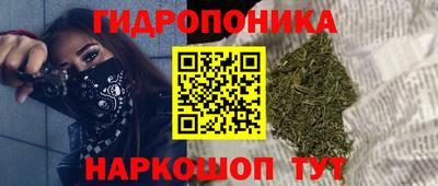 Альфа ПВП Керчь