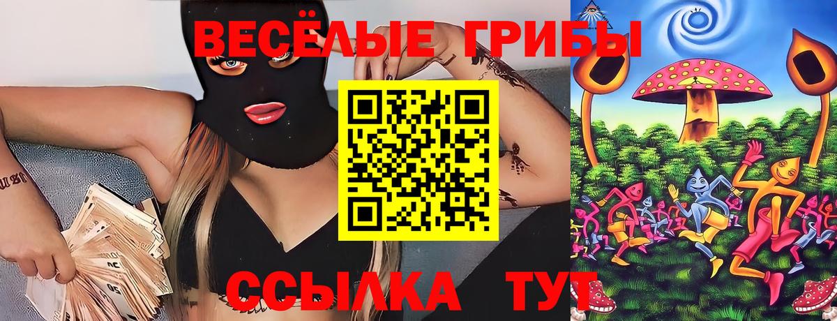 Боровичи  Псилоцибиновые грибы Psilocybine cubensis  цена наркотик  Галлюциногенные грибы мицелий  Вход с VPN 